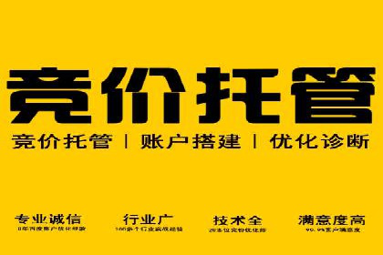 百度推广竞价实战：案例分析与优化策略